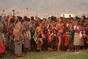  Tribal Celebration -443bbf542l.jpg
