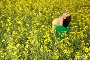 Aria Giovanni - Yellow Field of Flowers -q11li4vman.jpg