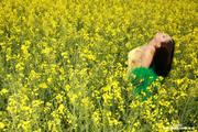 Aria Giovanni - Yellow Field of Flowers -x11li4x1p1.jpg