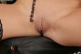 Dana 336aqsbw2y